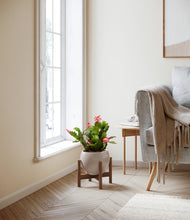 Load image into Gallery viewer, -