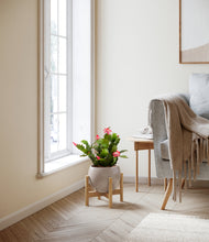 Load image into Gallery viewer, -