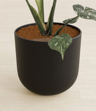 Load image into Gallery viewer, Stone Black stand:all