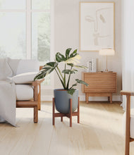 Load image into Gallery viewer, Iron Gray stand:walnut