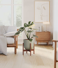 Load image into Gallery viewer, Sage Green stand:walnut