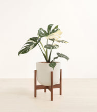 Load image into Gallery viewer, Natural Bamboo stand:walnut
