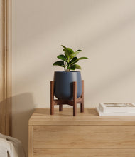 Load image into Gallery viewer, Deep Navy stand:walnut