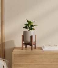Load image into Gallery viewer, Eternal Gray stand:walnut