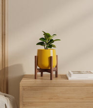 Load image into Gallery viewer, Mustard stand:walnut