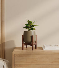 Load image into Gallery viewer, Olive stand:walnut