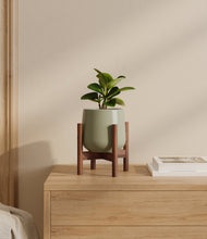 Load image into Gallery viewer, Turquoise stand:walnut