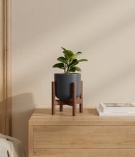 Load image into Gallery viewer, Iron Gray stand:walnut