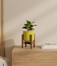 Load image into Gallery viewer, Key Lime Yellow stand:walnut