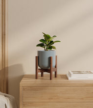 Load image into Gallery viewer, Misty Blue stand:walnut