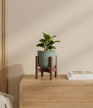 Load image into Gallery viewer, Reactive Aqua stand:walnut