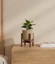 Load image into Gallery viewer, Sage Green stand:walnut