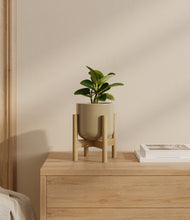 Load image into Gallery viewer, Sage Green stand:bamboo
