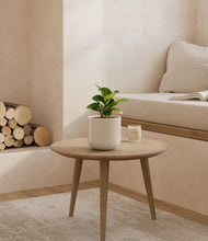 Load image into Gallery viewer, Cotton White