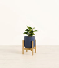 Load image into Gallery viewer, Deep Navy stand:bamboo