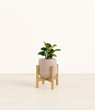 Load image into Gallery viewer, Eternal Gray stand:bamboo