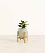 Load image into Gallery viewer, Turquoise stand:bamboo