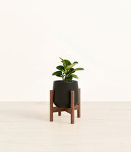 Load image into Gallery viewer, Black stand:walnut