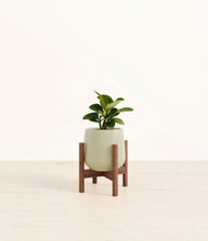 Load image into Gallery viewer, Turquoise stand:walnut