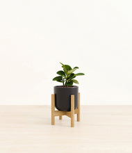 Load image into Gallery viewer, Stone Black stand:bamboo