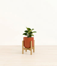 Load image into Gallery viewer, Glossy Red stand:bamboo