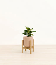 Load image into Gallery viewer, Glossy Pink stand:bamboo
