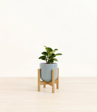 Load image into Gallery viewer, Misty Blue stand:bamboo
