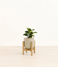 Load image into Gallery viewer, Sage Green stand:bamboo