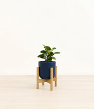 Load image into Gallery viewer, Twilight Blue stand:bamboo