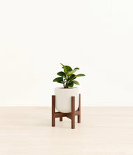 Load image into Gallery viewer, Cotton White stand:walnut