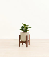 Load image into Gallery viewer, Sage Green stand:walnut