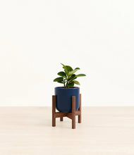 Load image into Gallery viewer, Twilight Blue stand:walnut