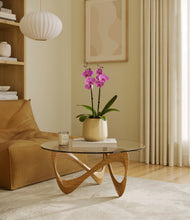 Load image into Gallery viewer, Almond Green