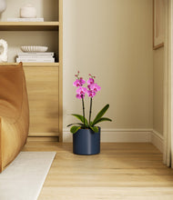 Load image into Gallery viewer, Deep Navy