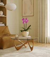 Load image into Gallery viewer, Shiny EggWhite