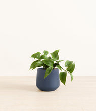 Load image into Gallery viewer, Deep Navy*****Profile