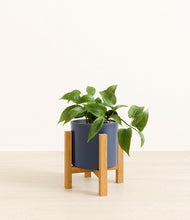 Load image into Gallery viewer, Deep Navy stand:light