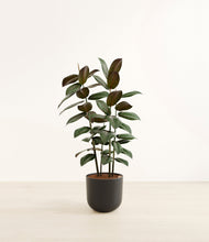 Load image into Gallery viewer, Stone Black*****Profile