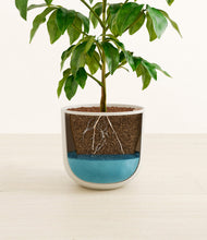 Load image into Gallery viewer, Natural Bamboo