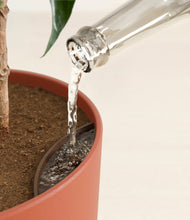 Load image into Gallery viewer, Earth Red stand:all