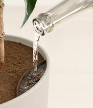 Load image into Gallery viewer, Natural Bamboo stand:all