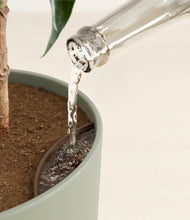 Load image into Gallery viewer, Sage Green stand:all