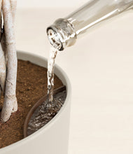 Load image into Gallery viewer, Natural Bamboo stand:all