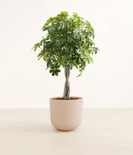Load image into Gallery viewer, Sandy Pink*****Profile