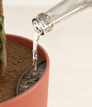 Load image into Gallery viewer, Earth Red stand:all