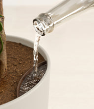 Load image into Gallery viewer, Sandy stand:all