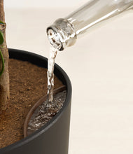 Load image into Gallery viewer, Stone Black stand:all