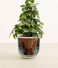 Load image into Gallery viewer, Natural Bamboo stand:all