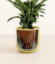 Lade das Bild in den Galerie-Viewer, Key Lime Yellow stand:all