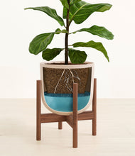 Load image into Gallery viewer, Sandy Pink stand:walnut